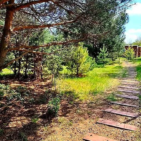 Miodowy Zakatek Caloroczne I Przy Suntago, Deepspot, Pyszne Sniadania, Grill